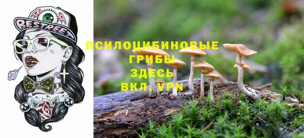 экстази Алексин
