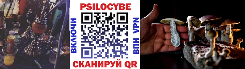 где найти   Суджа  KRAKEN сайт  Галлюциногенные грибы Cubensis 