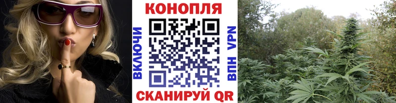 Бошки марихуана сатива  купить  сайты  Суджа 